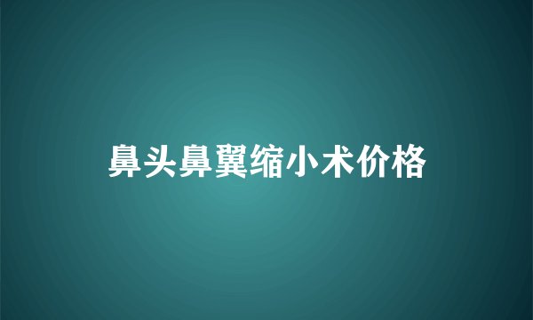 鼻头鼻翼缩小术价格