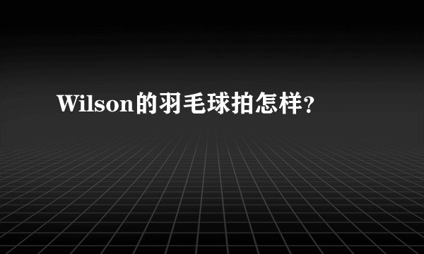 Wilson的羽毛球拍怎样？