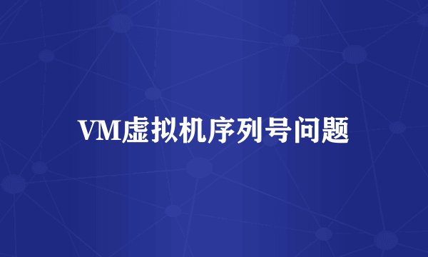 VM虚拟机序列号问题