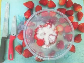 100%自酿纯果汁(懒人版)