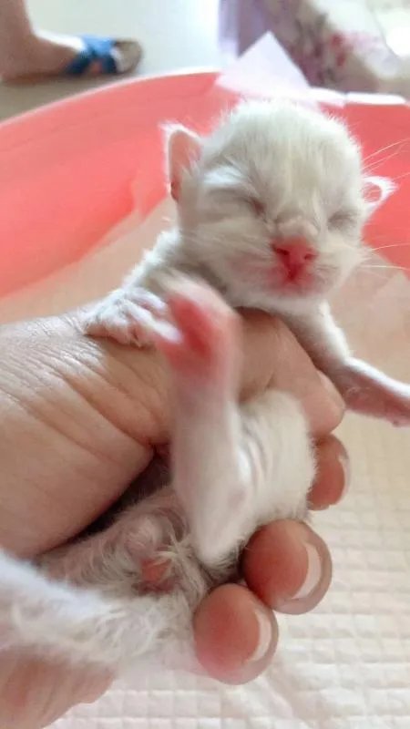 宠物用品货源在哪儿找