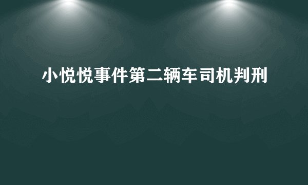 小悦悦事件第二辆车司机判刑