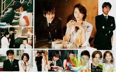 恋爱结婚法则的介绍