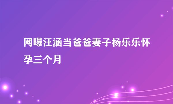网曝汪涵当爸爸妻子杨乐乐怀孕三个月