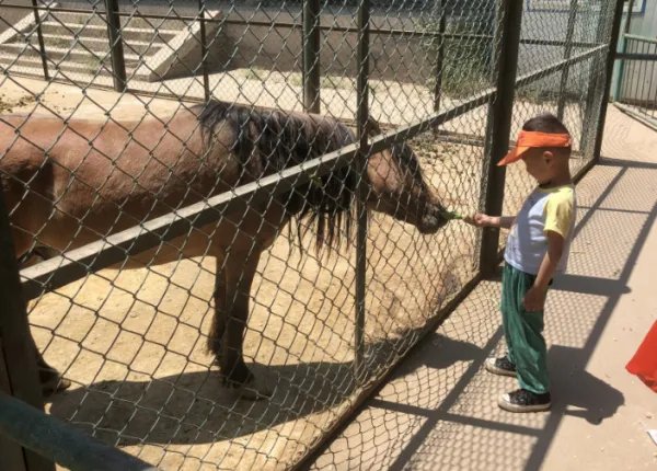 兰州野生动物园的一辆观光车侧翻，多人掉下深沟，目前救援情况如何？