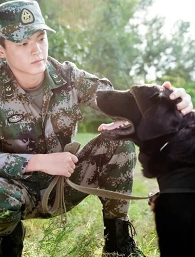 神犬奇兵插曲叫什么 看网友们如何评价
