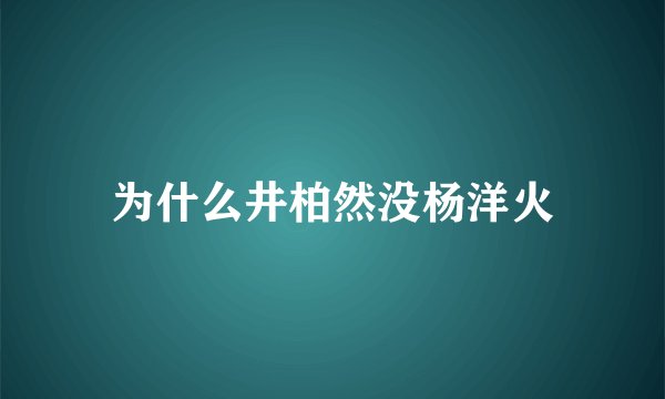 为什么井柏然没杨洋火