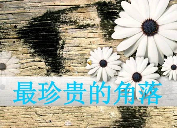 谢谢你灿烂笑容照亮我的天空！是哪首歌的歌词