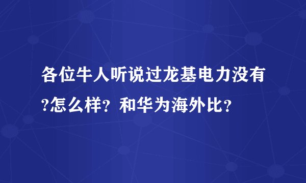 各位牛人听说过龙基电力没有?怎么样？和华为海外比？