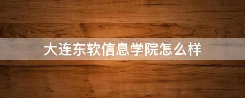 大连东软信息学院怎么样