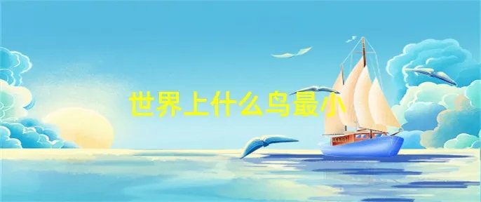 世界上什么鸟最小