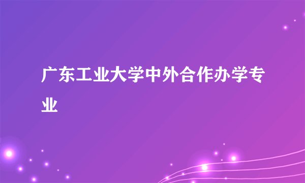 广东工业大学中外合作办学专业