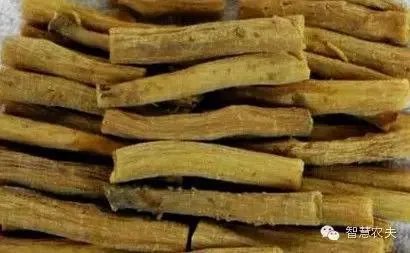 现在种植什么药材能够赚钱？