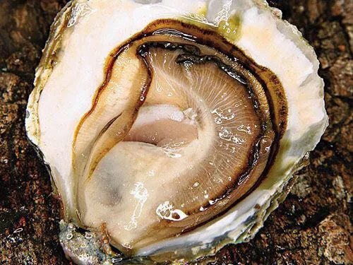 网红饭店取号近2万桌，食客称排队3天没吃上，你觉得值吗？