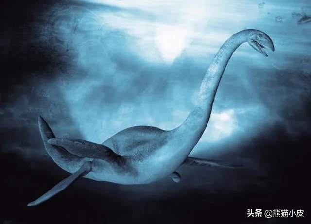 海怪和水怪，有什么区别？