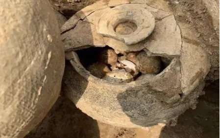 溧阳发现春秋古墓，出土2500年鸡蛋，究竟有什么价值？