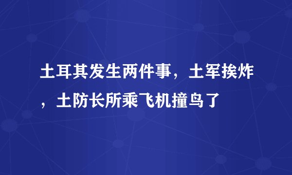 土耳其发生两件事，土军挨炸，土防长所乘飞机撞鸟了