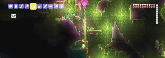 泰拉瑞亚世纪之花怎么找