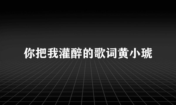 你把我灌醉的歌词黄小琥