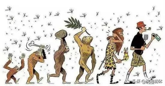 想象一下未来人类会进化成什么样子？