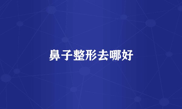 鼻子整形去哪好