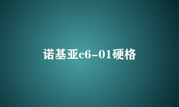 诺基亚c6-01硬格