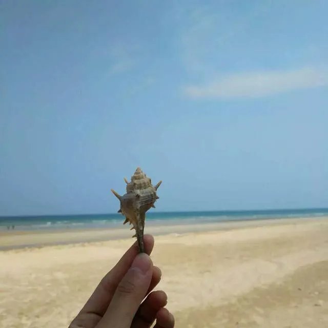 大学里作业个人PPT讲解对学习有帮助吗？