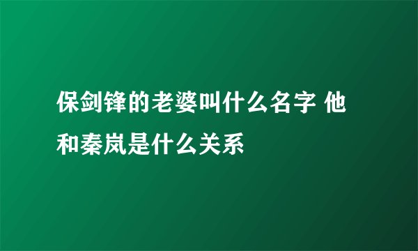 保剑锋的老婆叫什么名字 他和秦岚是什么关系