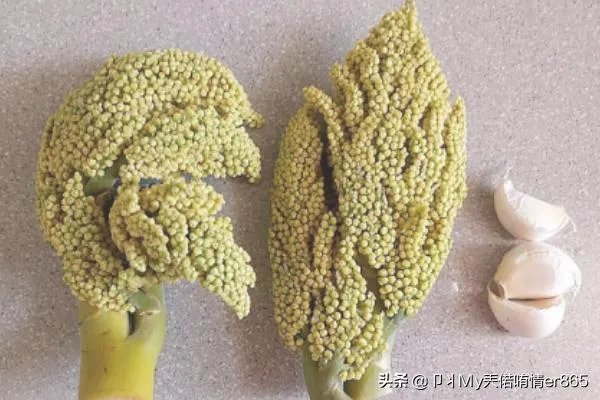 棕榈树花的吃法？