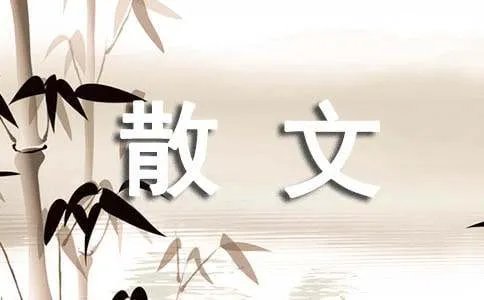 《迷失记忆》散文欣赏