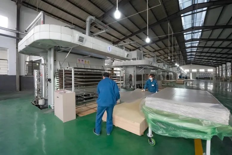 莫干山板材树绿色制造领先典范，打造全链路环保生产力