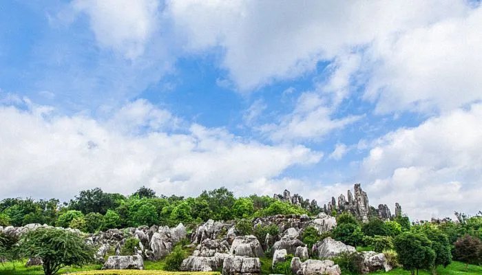 2022年端午节放假哪几天 端午节假期2022