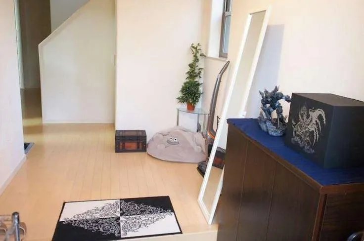 最强宅男 为收藏游戏建了栋房