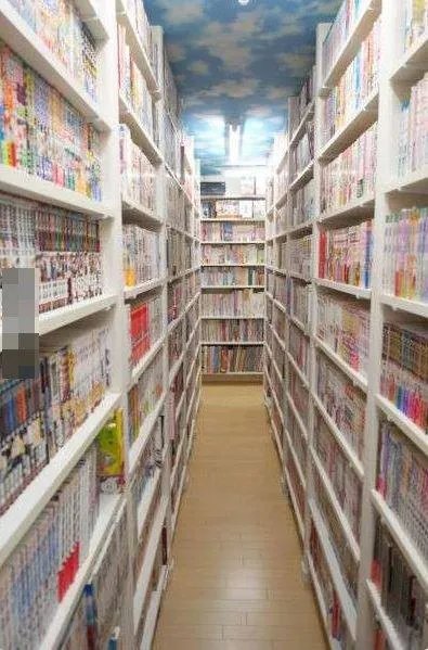 最强宅男 为收藏游戏建了栋房