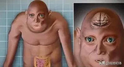 想象一下未来人类会进化成什么样子？