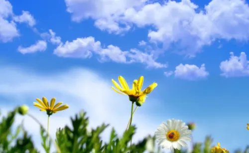 1984年属鼠是什么命女 1984年属鼠今年姻缘怎么样