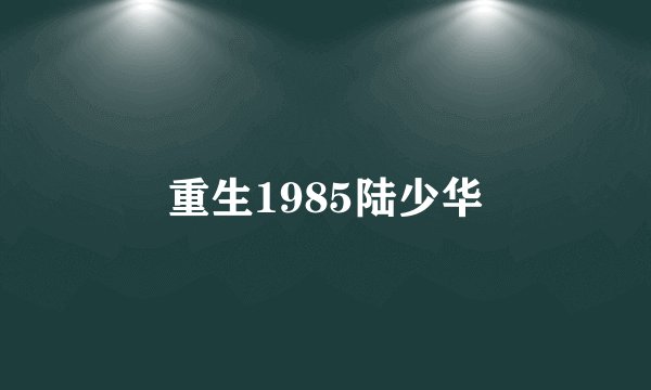 重生1985陆少华