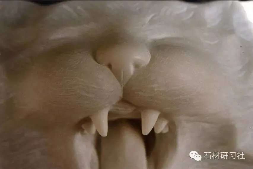 用大理石雕塑固定小动物精彩瞬间