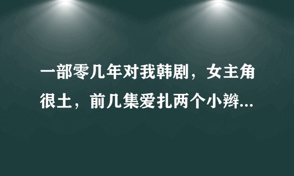 一部零几年对我韩剧，女主角很土，前几集爱扎两个小辫子，是什么电视剧啊？