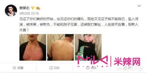 怎么评价何洁离婚事件？