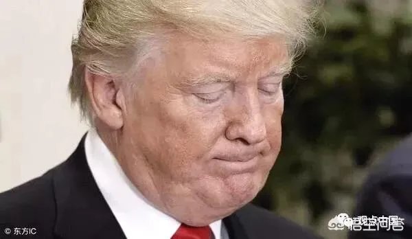 如何看待特朗普人到了巴黎却拒绝出席巴黎国际和平论坛？