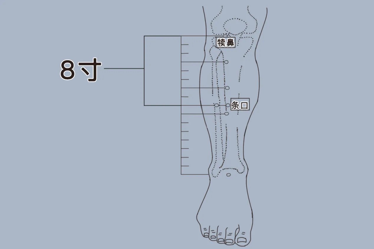 条口的准确位置图和作用功效