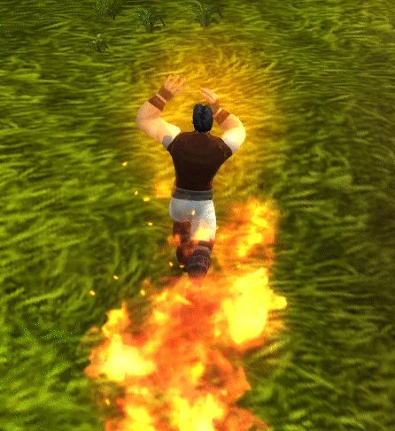 魔兽世界燃烧之花有什么用