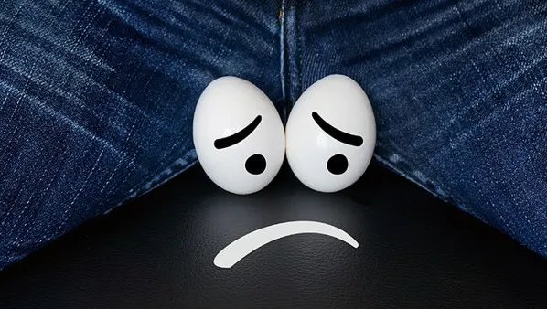 黑蚂蚁能治阳痿吗