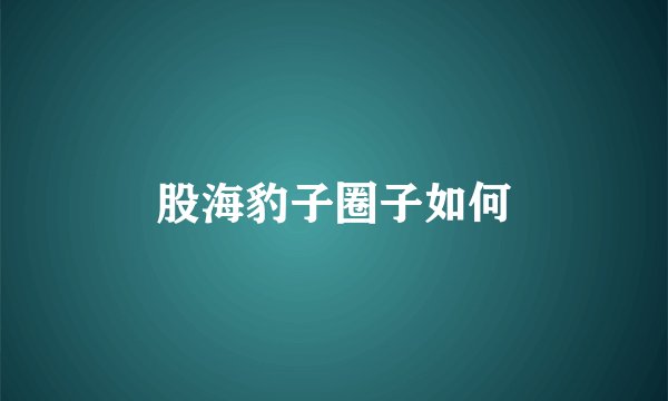 股海豹子圈子如何