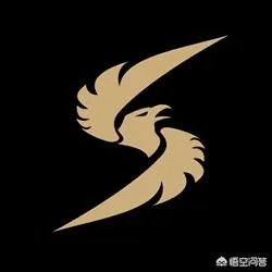 斗鱼黄金大奖赛到了总决赛，16支队伍你们觉得哪个战队能够夺冠？