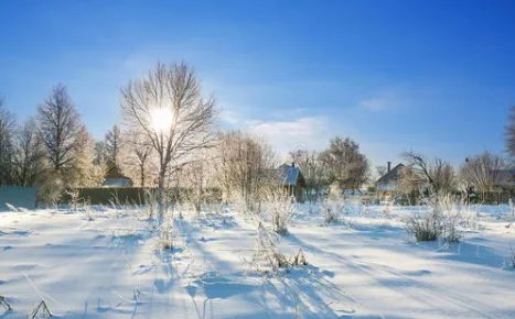 关于雪的日记100字