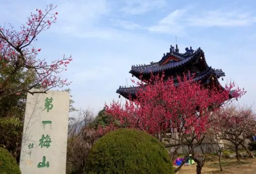 南京梅花山怎么进不要门票？ 好多说早上6.30之前不要门票，是不是这样子啊？