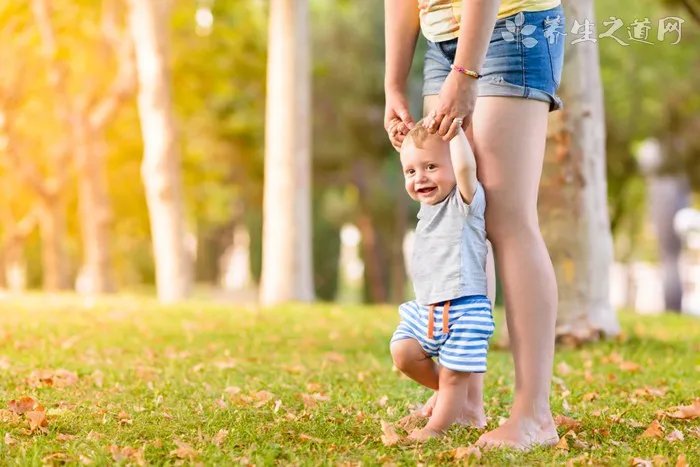 茶夹的作用，小小夹子大用途