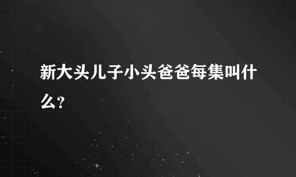 新大头儿子小头爸爸每集叫什么？